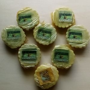 Yankee Candle Picnic in the Park Wax Melts